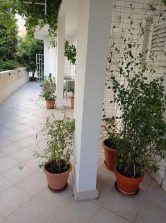 Apartments DARIANA - Makarska - 3