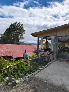 Petrohue hospedaje Dónde la Nena - Petrohué - 5