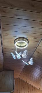 Green Chalet with Champagne and Butterflies - Fundata - 5