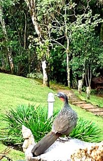 Morada Rancho Da Lua - Monte Verde - 6