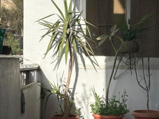 Private Sunny Room with Balcony - Cairo - 7