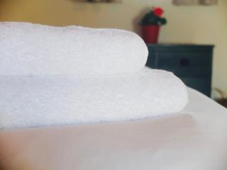 Stunning French farmhouse - 8