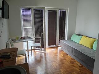 Apartman Tajna - Gornja Toplica - 8
