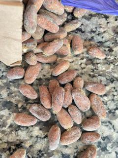 Hostal Parque Etnobotánico Omaere - 1