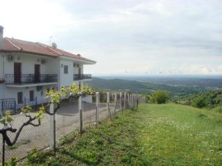 Guesthouse Arsenis - 0