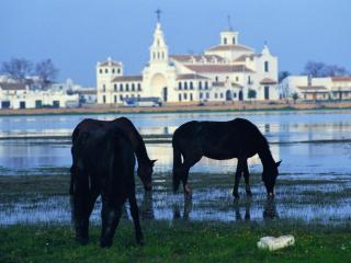 La Espartería Duplex Rocío - 2