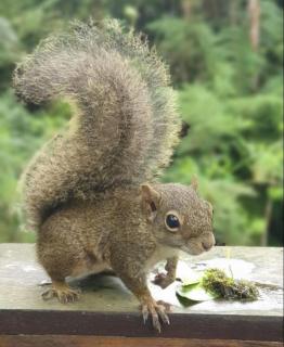 Morada Rancho Da Lua - 2