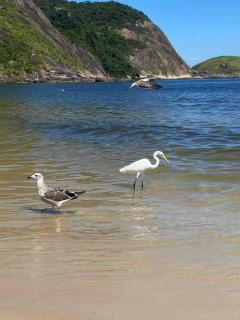 Aconchegante Loft Itaipu Na Rua da Amizade - 9