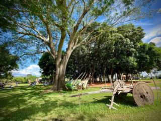 Fazenda Princesinha - 7