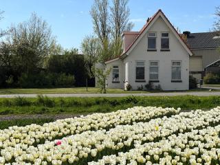 Bollenzicht - 6