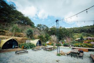 Forest Scent - Glamping & Camping - Ấp Xuân An - 4