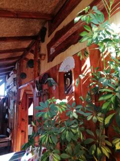 Brisas del llaima - Melipeuco - 7
