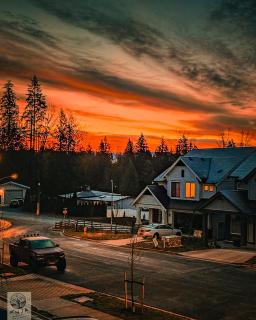 Birdie on the Hill - 0