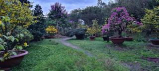 Villa THỦY NGUYÊN - Bình Thủy - 9