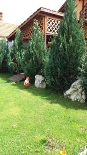 Pensiunea Cold Mountains - 4