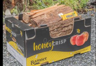 Luxury Rainier Cabin-Sauna-Hot Tub-EV-WiFi - Ashford - 5
