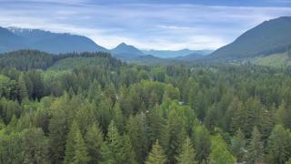 Luxury Rainier Cabin-Sauna-Hot Tub-EV-WiFi - Ashford - 2