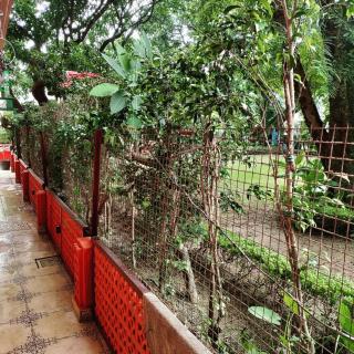 Sundervanam living - Dehradun - 4