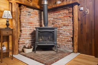 Rainier's Iconic Cabin with Forest Views & Hot Tub - Ashford - 0