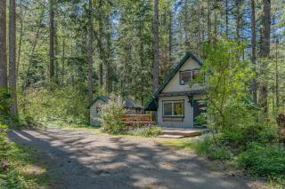 Rainier's Iconic Cabin with Forest Views & Hot Tub - 6