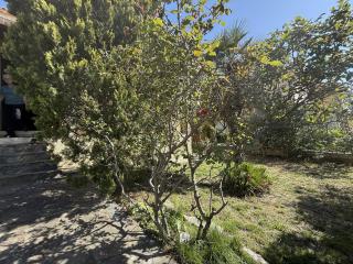 Maison avec jardin et terrasse, 3 chambres à Sète - FR-1-338-612 - 6