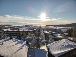 Appartement 5 pers au pied des pistes avec Wi-Fi à Super Besse - FR-1-814-93 - Besse-et-Saint-Anastaise - 1