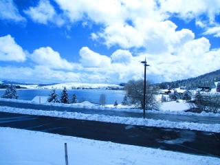 Studio au pied des pistes avec parking gratuit - FR-1-814-106 - Besse-et-Saint-Anastaise - 0