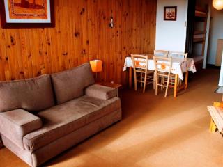 Studio central, accès pistes, vue lac, parking - FR-1-814-114 - Besse-et-Saint-Anastaise - 9