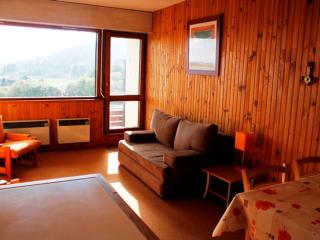 Studio central, accès pistes, vue lac, parking - FR-1-814-114 - Besse-et-Saint-Anastaise - 7