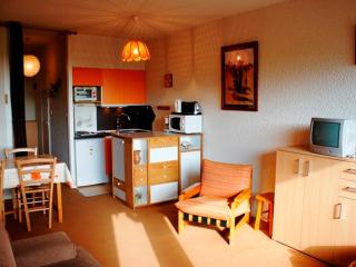 Studio central, accès pistes, vue lac, parking - FR-1-814-114 - Besse-et-Saint-Anastaise - 5