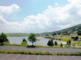 Appartement 6 pers proche pistes et commerces - FR-1-814-95 - Besse-et-Saint-Anastaise - 2