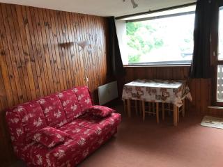 Studio cabine sur les pistes, accès instantané ski/VTT - FR-1-814-109 - Besse-et-Saint-Anastaise - 9