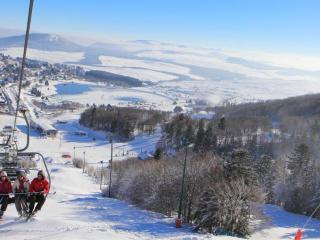 Studio cabine sur les pistes, accès instantané ski/VTT - FR-1-814-109 - Besse-et-Saint-Anastaise - 3