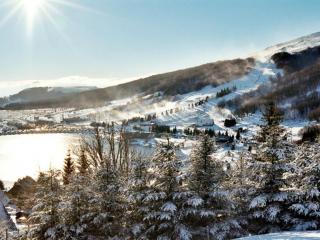 Studio cabine sur les pistes, accès instantané ski/VTT - FR-1-814-109 - Besse-et-Saint-Anastaise - 2