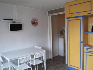 Studio au pied des pistes avec vue imprenable - FR-1-814-111 - Besse-et-Saint-Anastaise - 5