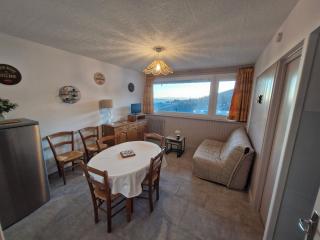 Appartement spacieux 4 pers au pied des pistes - FR-1-814-120 - Besse-et-Saint-Anastaise - 0