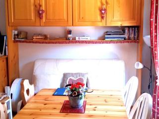 À louer : Appartement cosy 2 pièces cabine avec vue montagne - FR-1-573-138 - Le Biot - 9