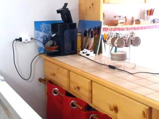 À louer : Appartement cosy 2 pièces cabine avec vue montagne - FR-1-573-138 - Le Biot - 7