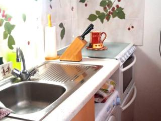 À louer : Appartement cosy 2 pièces cabine avec vue montagne - FR-1-573-138 - Le Biot - 6