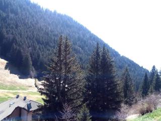 À louer : Appartement cosy 2 pièces cabine avec vue montagne - FR-1-573-138 - Le Biot - 3