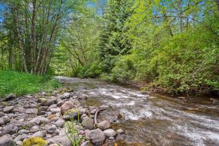 Creekside Cabin with Hot Tub-Fireplace-Pool Table - Ashford - 9