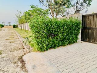 Luxurious farm house for stay play and events - Lahore - 6