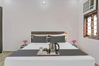 Collection O The Royal Fern - 1