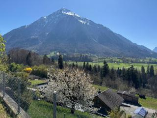 Idyllische Aussicht Niesen - Spiez - 6