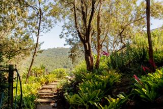 Mi Vida - Wilderness - Wilderness - 3