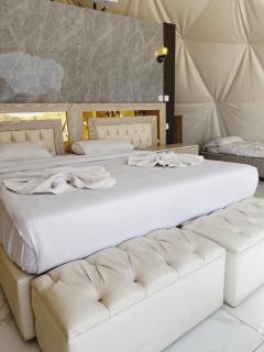 The Flowers Camp - 7