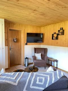 Appartement cosy dans chalet typique Région Diablerets Glacier 3000 - Les Diablerets - 3