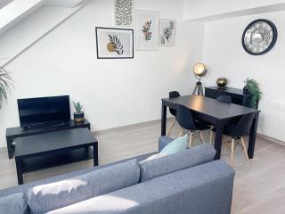 Le Moisson, centre ville, Wifi, Netflix - Reims - 7