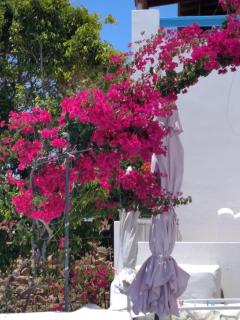 Η Τέχνη της Δύσης - Koufonisia - 6