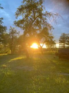 Ferienwohnung - Urlaub auf dem Bauernhof - 3